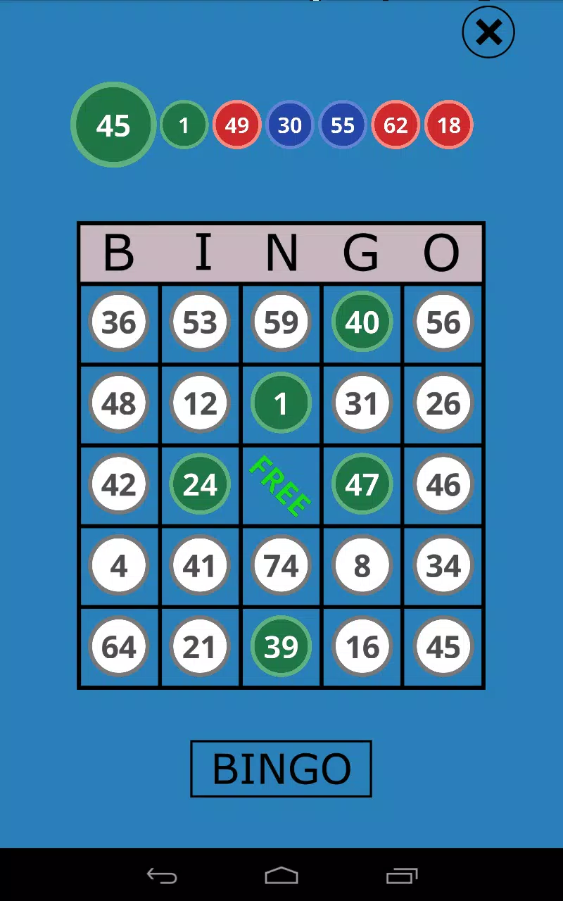 Classic Bingo Touch Ảnh chụp màn hình 3