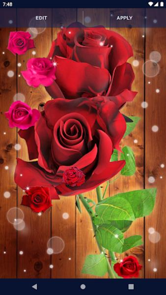 Red Rose Live Wallpaper Ảnh chụp màn hình 3