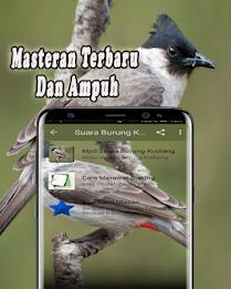 Suara Burung Kutilang Offline ภาพหน้าจอ 1