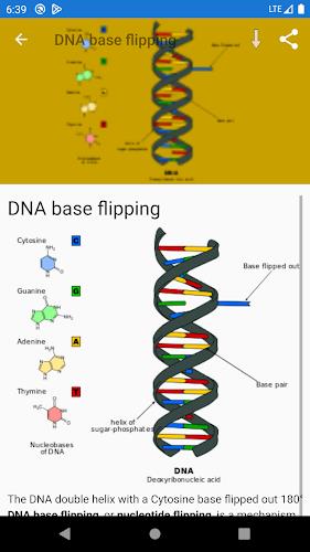 Molecular biology Zrzut ekranu 3