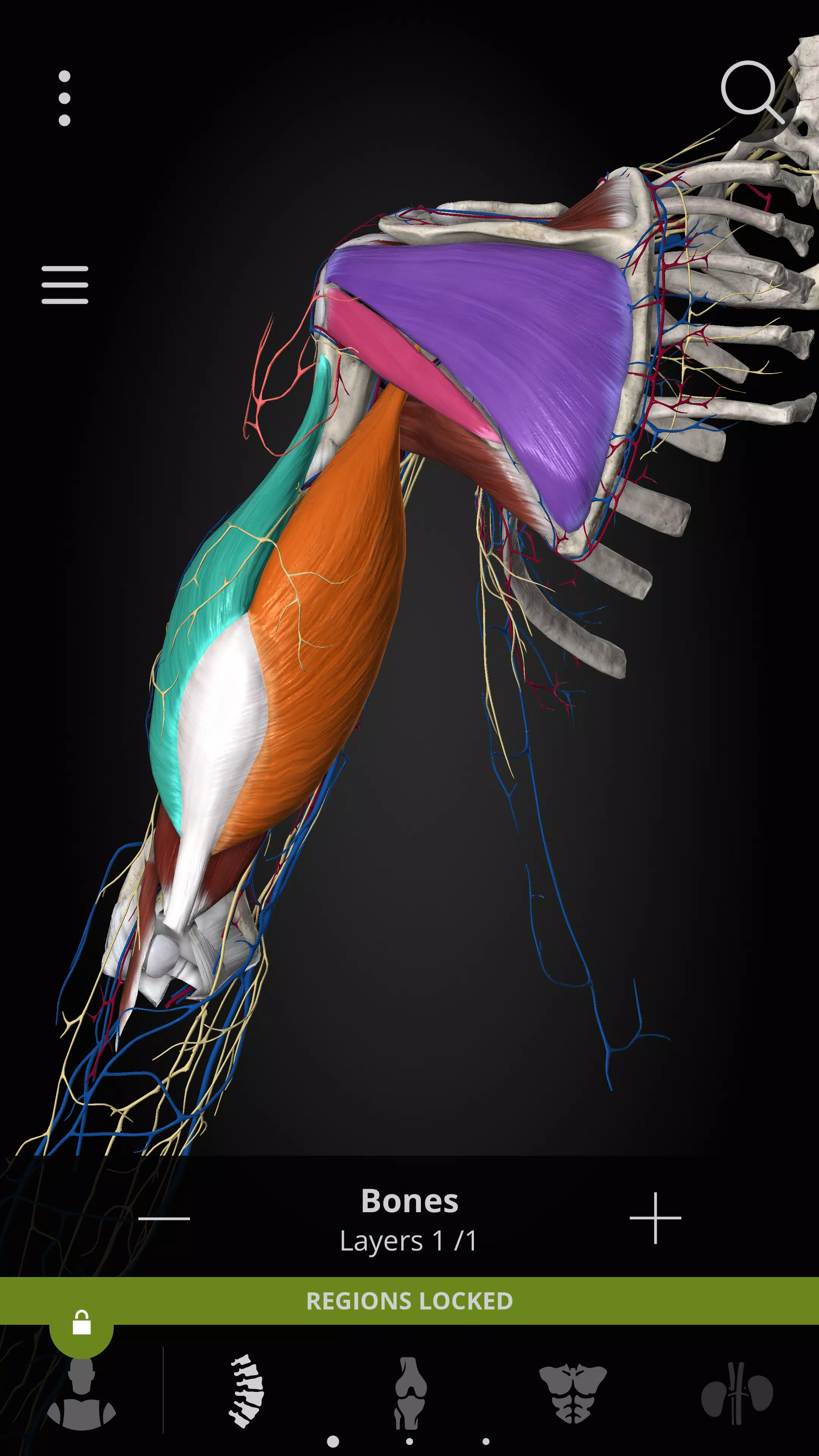 Anatomyka - 3D Anatomy Atlas應用截圖第3張