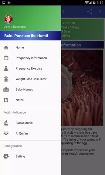 Pregnancy Guide Tangkapan skrin 1