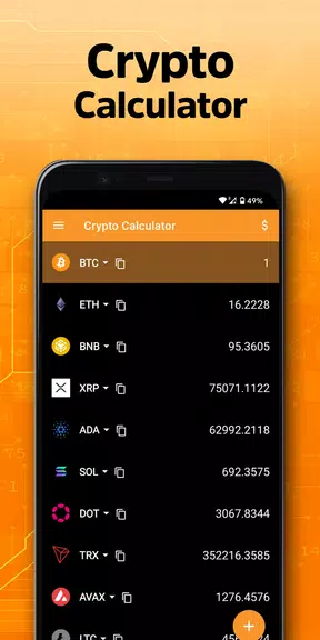 Crypto Calculator Captura de tela 2