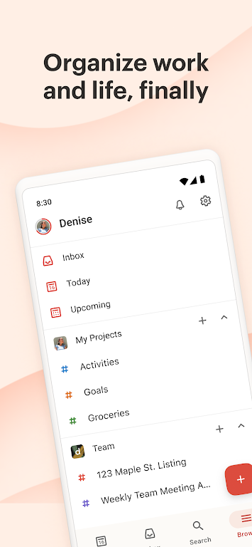 Todoist Ekran Görüntüsü 0