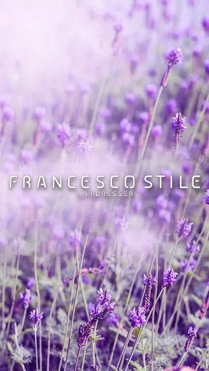 Francesco Stile ภาพหน้าจอ 0