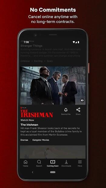 Netflix Mod Ekran Görüntüsü 1