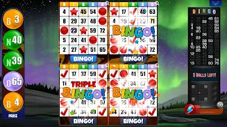 Absolute Bingo Tangkapan skrin 2