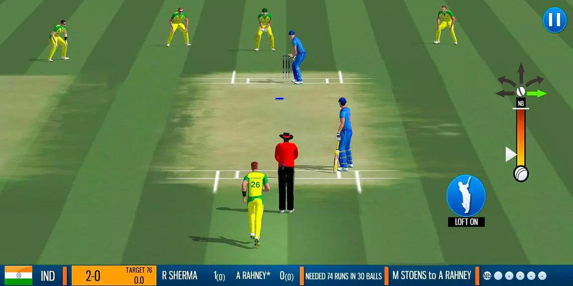 WCB2 Play My Career Cricket Zrzut ekranu 0