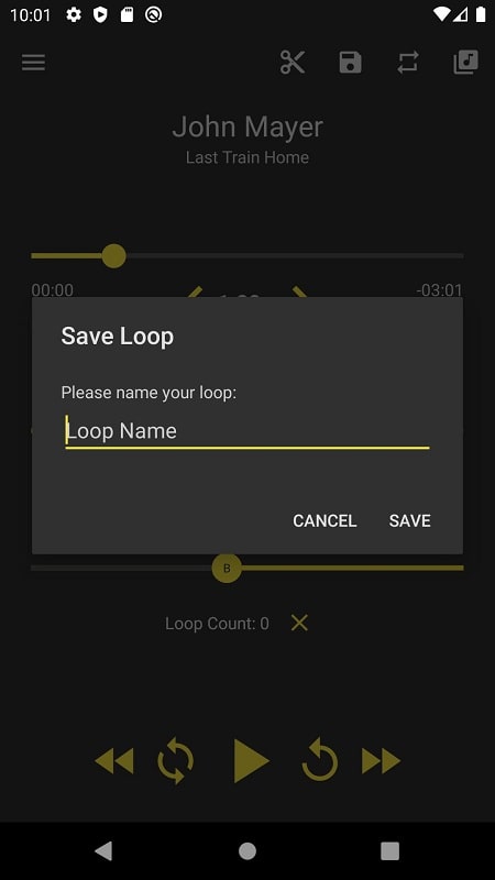 Loop Player Screenshot 2