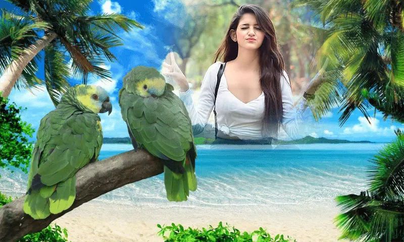 Birds Photo frame : Bird photo應用截圖第0張
