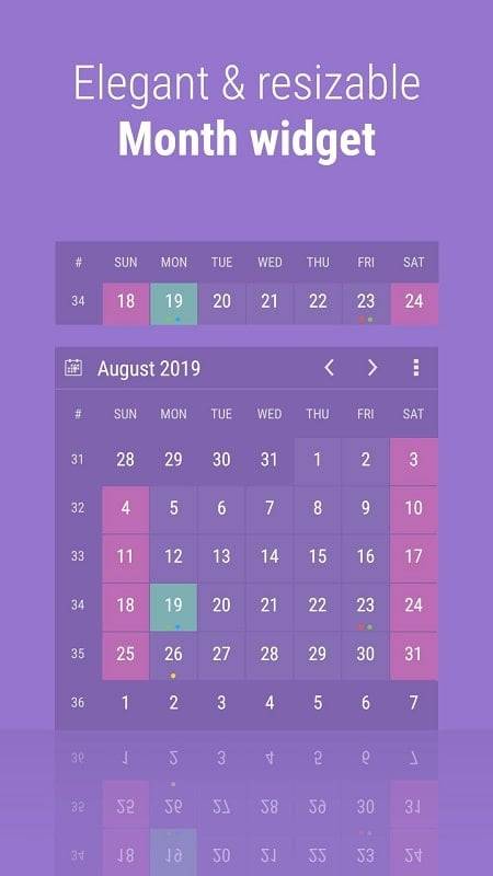 Calendar Widget: Month/Agenda Screenshot 0