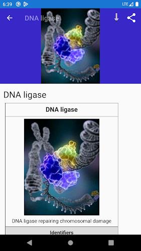 Schermata Molecular biology 2