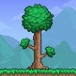 Terraria MOD