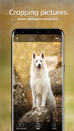 Dog Wallpapers & Puppy 4K Ảnh chụp màn hình 3