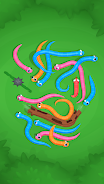 Snake Knot: Sort Puzzle Game স্ক্রিনশট 1