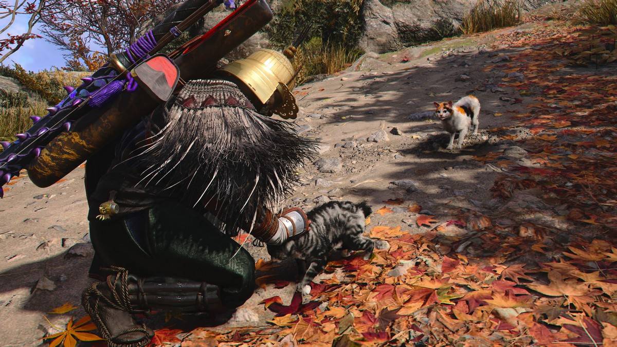 Descubra la ubicación de Cat Island en Assassin's Creed Shadows