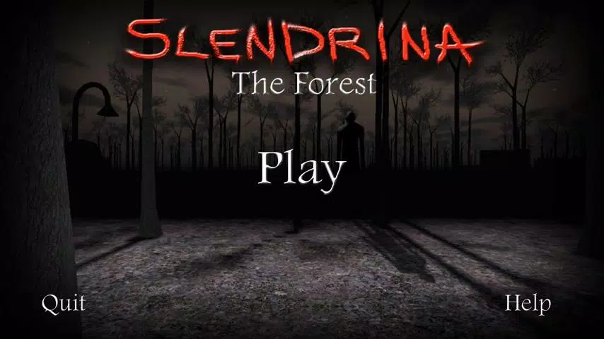 Schermata Slendrina: The Forest 0