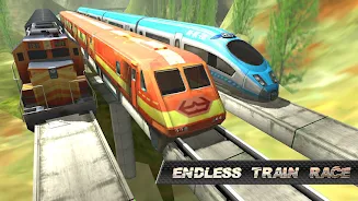 Train Race 스크린샷 3